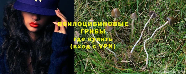 индика Армянск