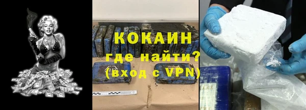 индика Армянск