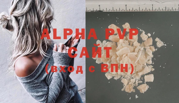 индика Армянск