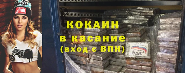 индика Армянск