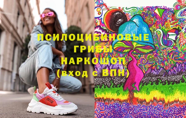 индика Армянск