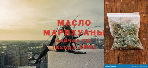 индика Армянск