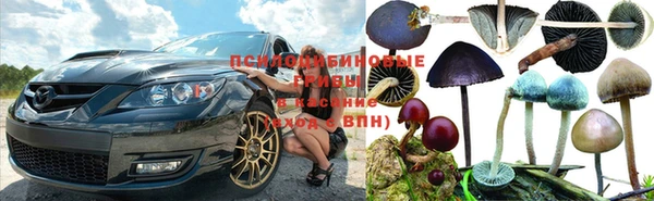 ALPHA-PVP Арсеньев