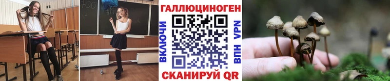 сколько стоит  дарк нет какой сайт  Псилоцибиновые грибы GOLDEN TEACHER  Нолинск 